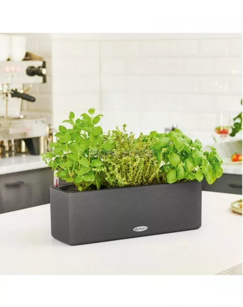 Кашпо LECHUZA CUBE Color Triple 14х14 см