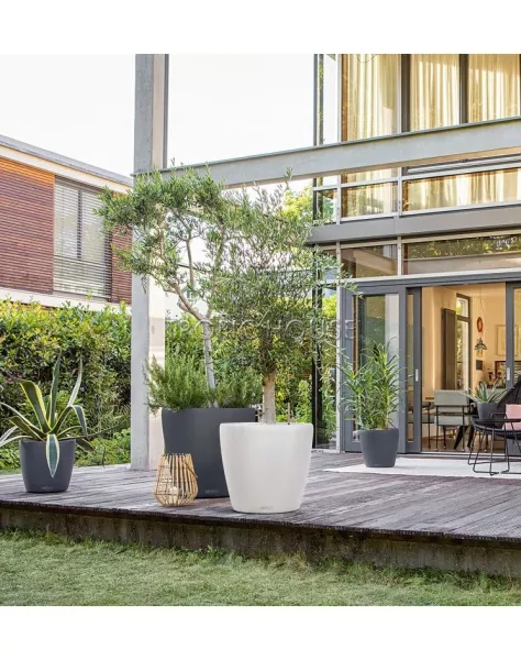 Кашпо LECHUZA CLASSICO Color 70x65 см