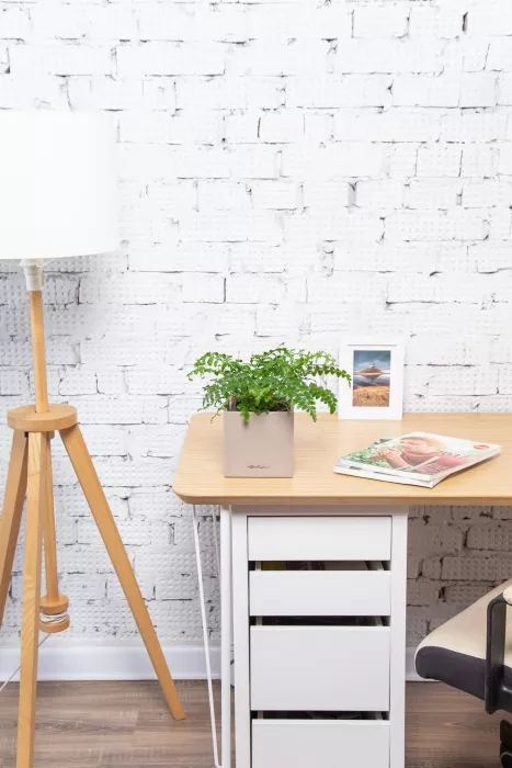 Папоротник Парвати в CANTO STONE 14