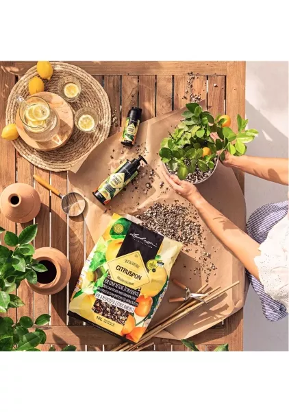 Субстрат Lechuza CITRUSPON