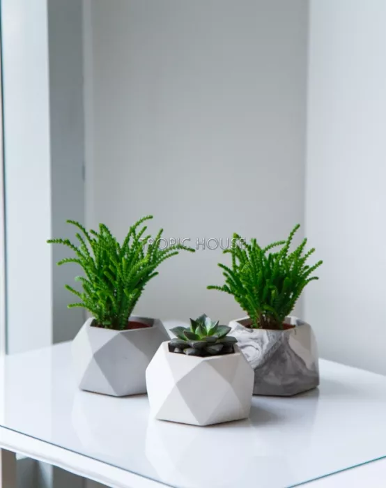 Кашпо бетонное настольное ТН 07