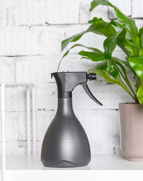Опрыскиватель для комнатных цветов Medusa (антрацит)