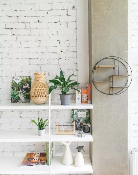 Аглаонема Мария 12/30 см