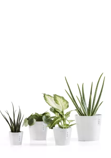 Ecopots Amsterdam Mini 8