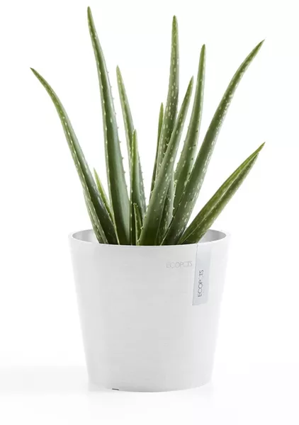 Ecopots Amsterdam Mini 17