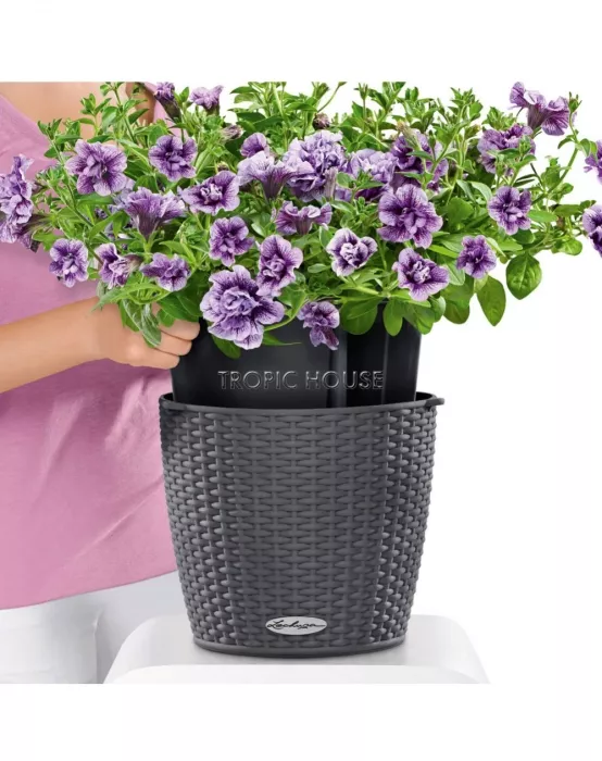 Кашпо подвесное LECHUZA NIDO Cottage 27х23 см