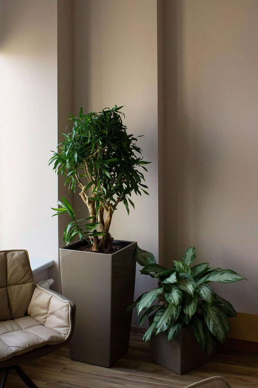 ПетроИнжиниринг