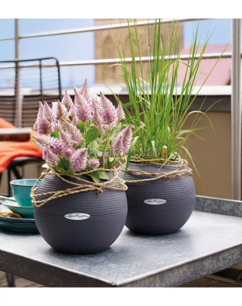 Кашпо LECHUZA PURO Color 20х16 см