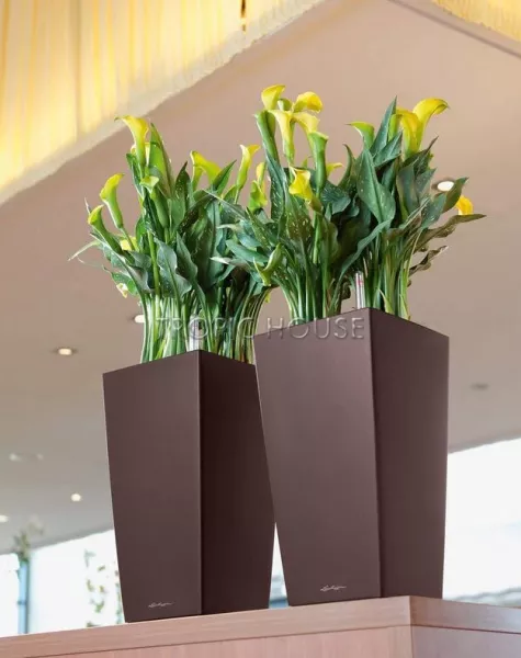 Кашпо LECHUZA CUBICO 22х41 см