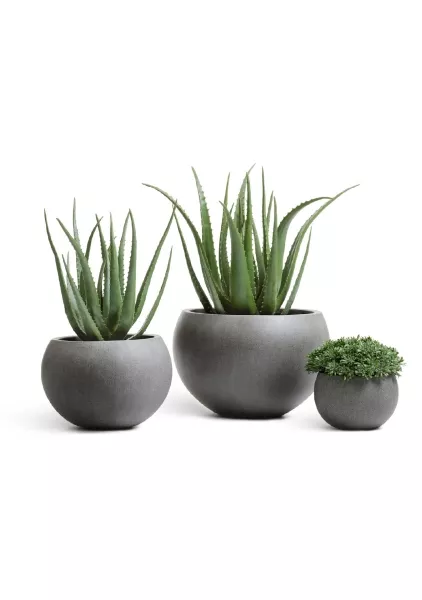 Кашпо TREEZ Effectory, Полусфера, Тёмно-серый бетон