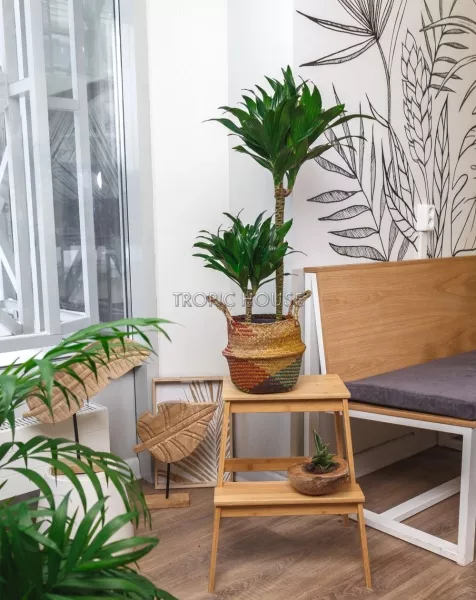 Корзина малая цветная