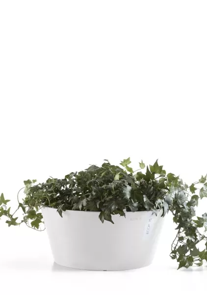 Ecopots FRANKFURT 41