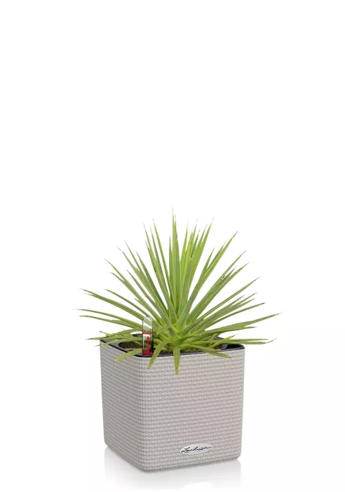 Агава Нана в CUBE COLOR 14, песочно-коричневый