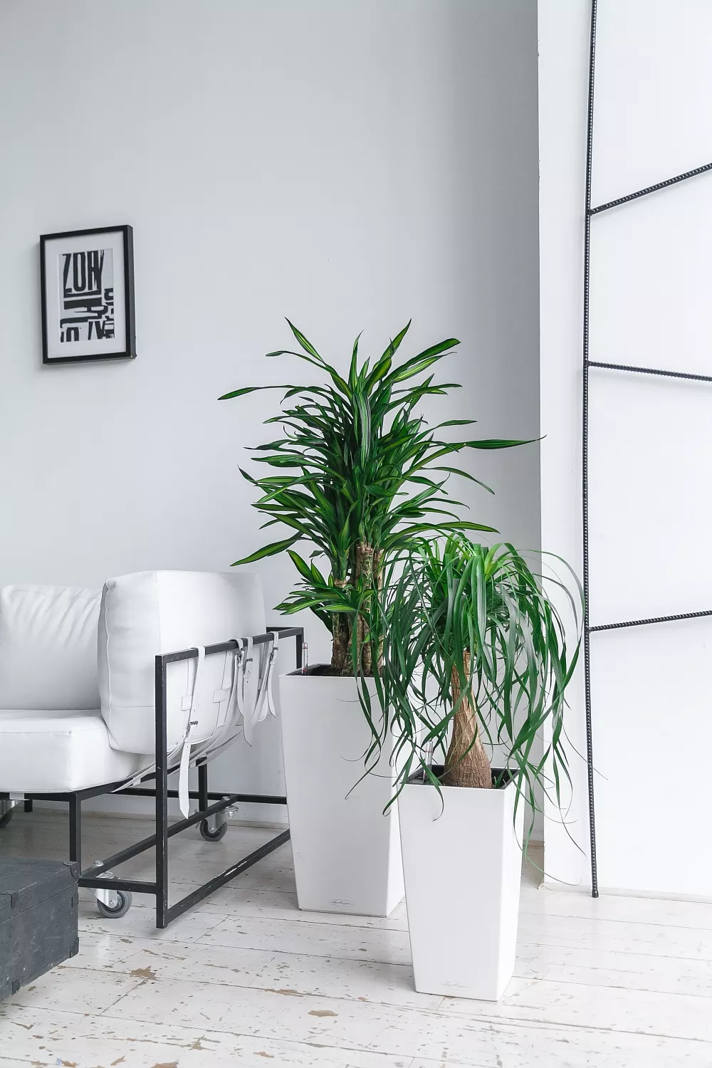 СОЗДАНИЕ ПРОЕКТА ФИТОДИЗАЙНА