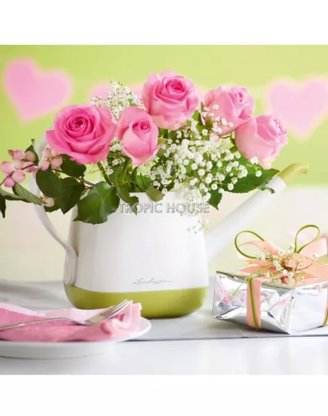 Лейка LECHUZA YULA