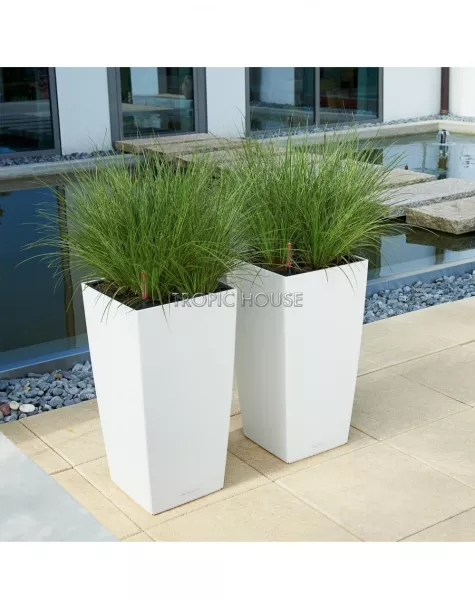 Кашпо LECHUZA CUBICO Color 30х56 см