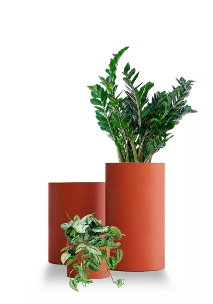 Кашпо CONCRETIKA CYLINDER TERRACOTTA