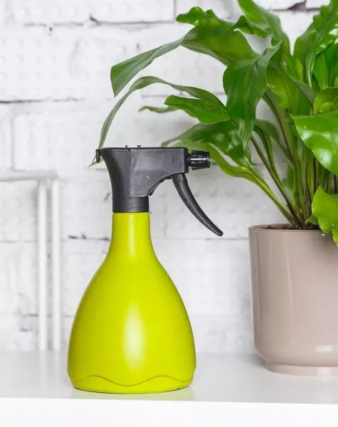 Опрыскиватель для комнатных цветов Medusa (светло-зеленый)