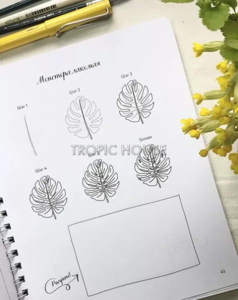 Цветы и листья по линиям