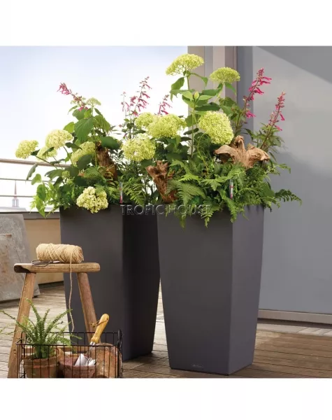 Кашпо LECHUZA CUBICO Color 40х75 см