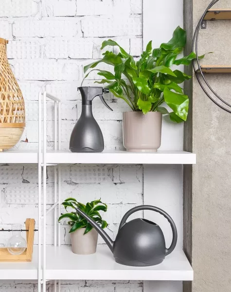 Лейка для комнатных цветов Medusa (антрацит)