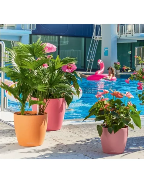 Кашпо LECHUZA CLASSICO Color 35х30 см