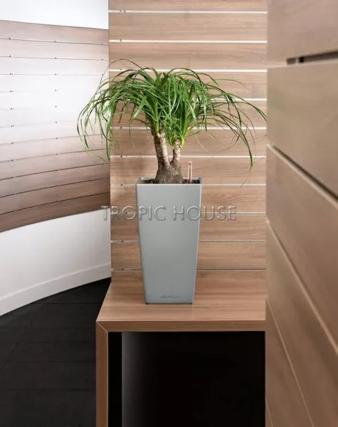 Кашпо LECHUZA CUBICO 22х41 см