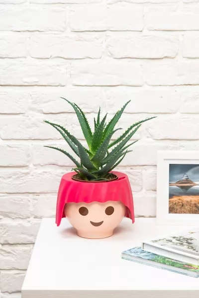 Алоэ 12/30 см в OJO