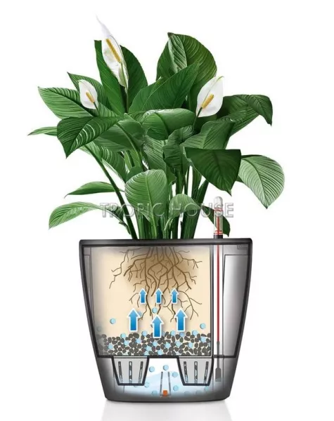 Кашпо LECHUZA CLASSICO LS 21х20 см