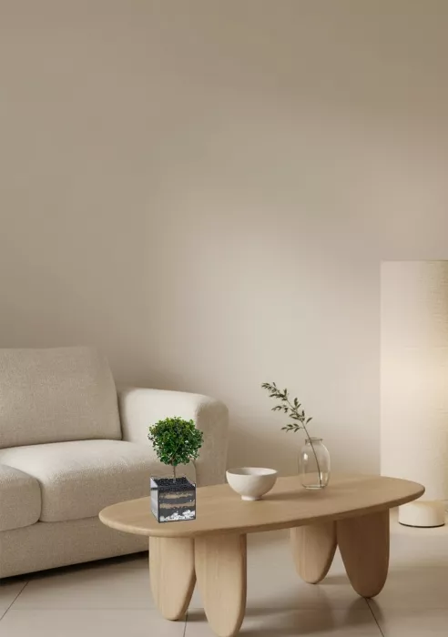 Флорариум с Мирсиной 25 см в кубе