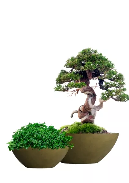 Кашпо CONCRETIKA BONSAY AVOCADO GREEN