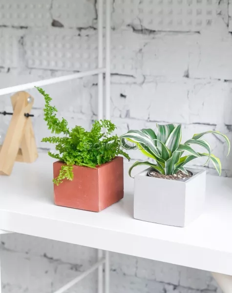 Кашпо бетонное настольное ТН 21