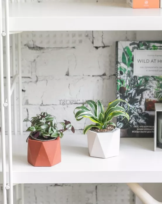 Кашпо бетонное настольное ТН 18