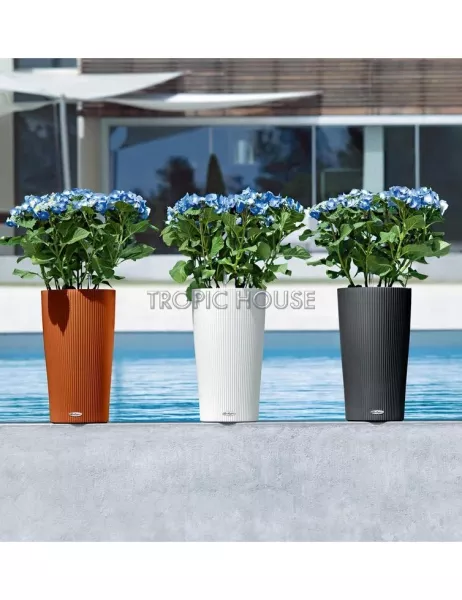 Кашпо LECHUZA CILINDRO Color 32х56 см