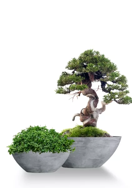 Кашпо CONCRETIKA BONSAY CONCRETE GREY LIGHT