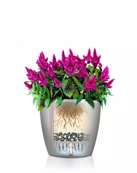 Кашпо LECHUZA CLASSICO Color 43х40 см