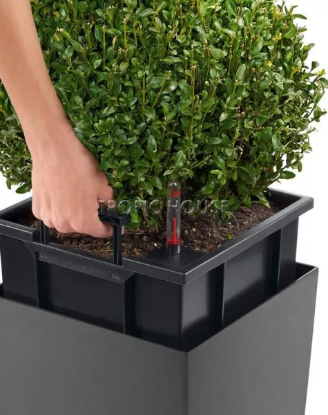 Кашпо LECHUZA CUBICO ALTO 40х105 см