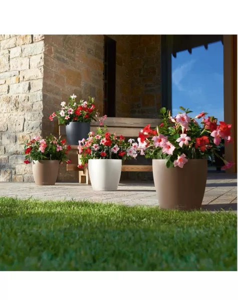 Кашпо LECHUZA CLASSICO Color 28х26 см