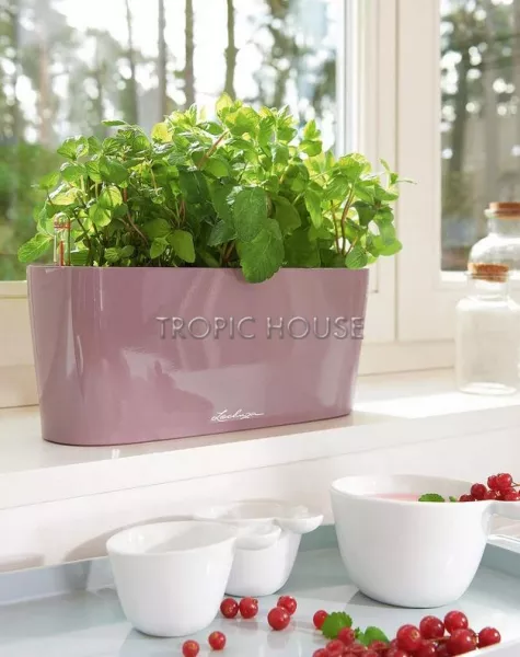 Кашпо LECHUZA DELTA 10х13 см