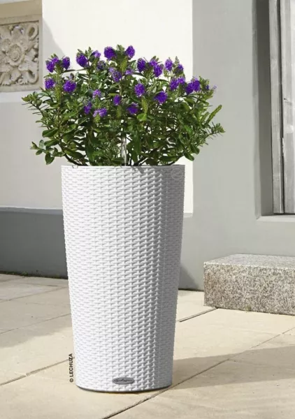 Кашпо LECHUZA Cilindro Cottage 23х41 см