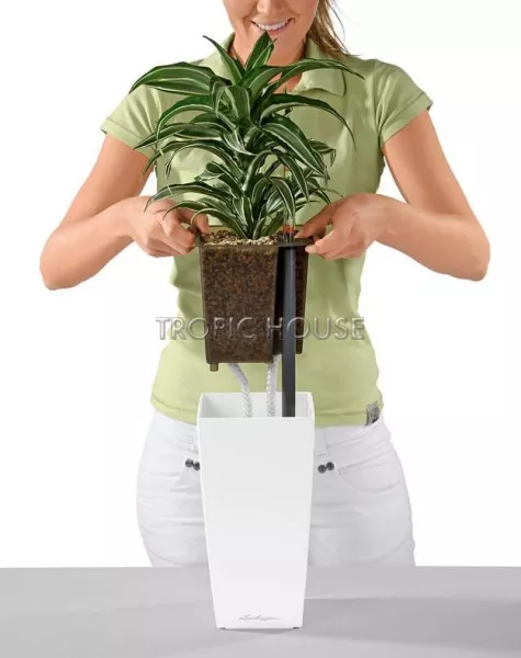 Кашпо LECHUZA MAXI-CUBI 14х26 см