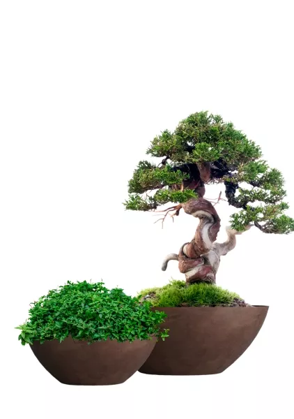 Кашпо CONCRETIKA BONSAY COFFEE