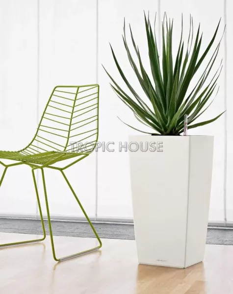 Кашпо LECHUZA CUBICO 30х56 см