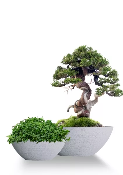 Кашпо CONCRETIKA BONSAY EROSIA WHITE