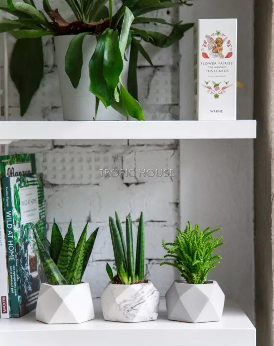 Кашпо бетонное настольное ТН 07