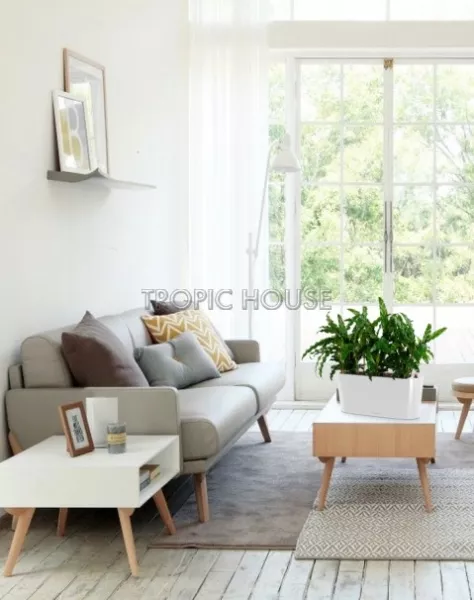 Калатея Руфибарба в DELTA 20