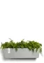 Ecopots Manhattan Wall L 55