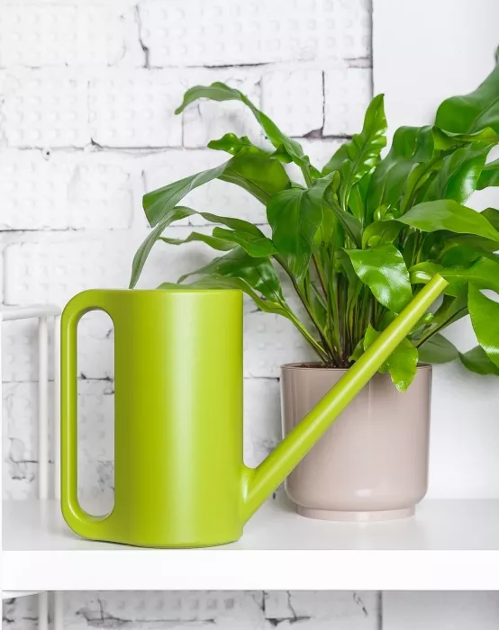 Лейка для комнатных цветов Plastia (зеленый)