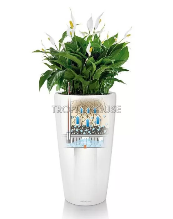 Кашпо LECHUZA RONDO 32х56 см