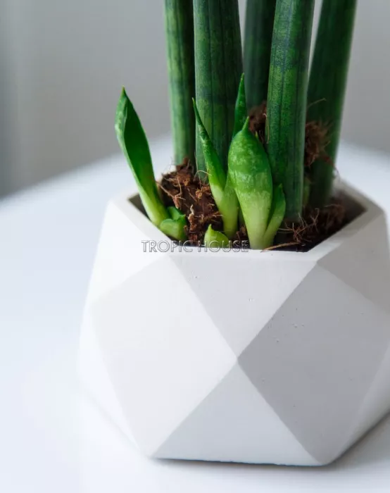 Кашпо бетонное настольное ТН 07